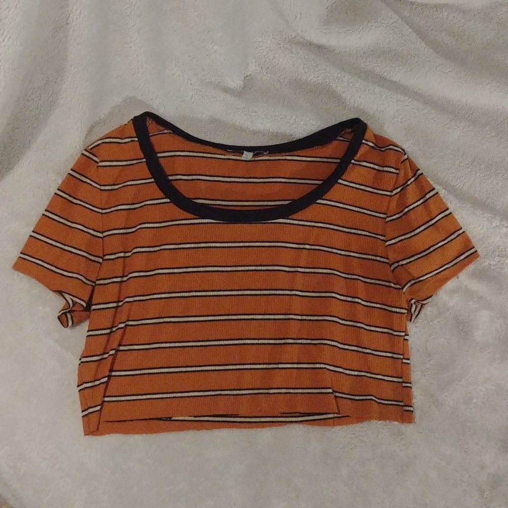 (2 for $12) burnt orange striped ringer crop top